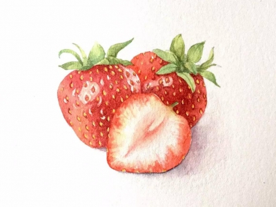 水彩插画 草莓